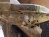 dan6421.JPG (129032 bytes)